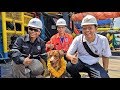 Stranded dog rescued 209km off shore| CCTV English