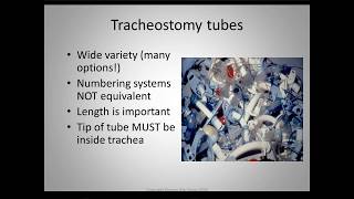 #e173 Preview: Trach \u0026 Vent Patients - What the SLP Needs to know about Communication \u0026 Swallowing