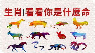 生肖｜看看你是什麼命？|佛語