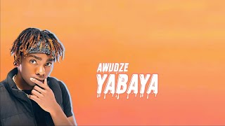 Eli njuchi_Yabaya Lyrics_feat Yo maps _(2woLyic video)