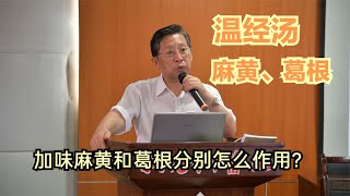 黄煌教授讲温经汤应用，加味麻黄和葛根分别怎么作用？适合什么人