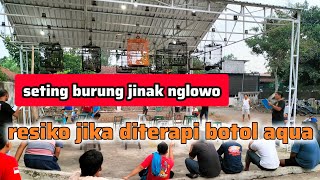 setting burung jinak nglowo matuk tangan