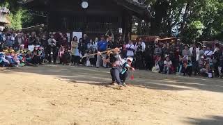 宮口神社 ヤマガラ