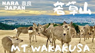 Mount Wakakusa 若草山 NARA JAPAN