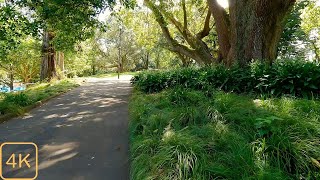 you decided to go to the park | 4K Parks and City Sounds in Auckland New Zealand