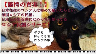 歌をみんなで【私の焚火】ピアノ弾語り　歌声広場で素敵なひと時を　ねこじゃらし音楽事務所・喜多陵介が演奏しています。