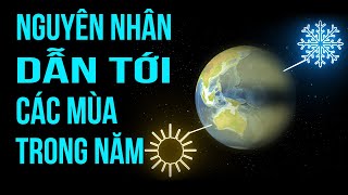 Nguyên nhân dẫn tới các mùa trong năm, hiểu trong 5 phút