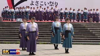 早稲田大学 東京花火【天つかさ】よさこい祭り in 光が丘公園2024 ステージ