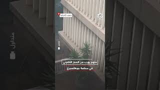 شاهد.. لحظة هروب متهم في قضية سرقة من الحجز القانوني في محكمة جوهانسبرغ بجنوب افريقيا