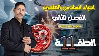 احياء السادس العلمي ll الفصل الثاني ll المحاضرة 11 ll منهج 2025