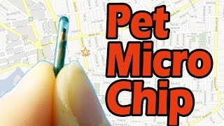 GPS Microchip for pets- Pet Hospital Murrieta