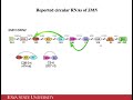 생존 운동 신경세포 survival motor neuron 에서의 circular rna 생성 nucleic acids res.