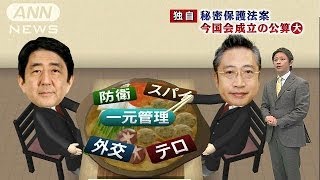 秘密保護法案の修正協議が佳境・・・今国会成立の公算大(13/11/15)