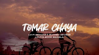 Shitom Ahmed - Tomar Chaya [Lyrics] | Tomar Chaya Lofi Remake and Slowed Reveb | Lo-fi's Book Bangla