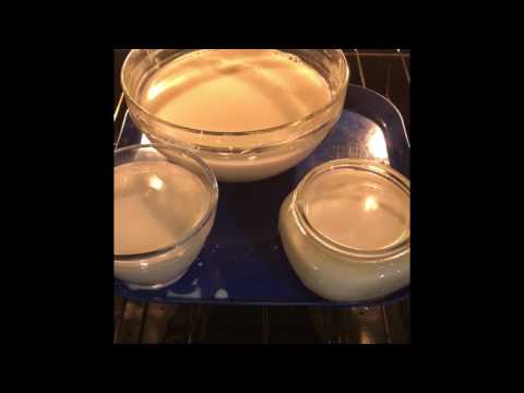 easy diy yogurt easy diy yogurt