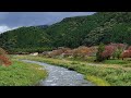 Nature's Palette: THE BEAUTY OF JAPAN'S COUNTRYSIDE