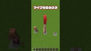 マイクラの秘密4🤫