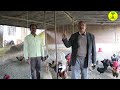 70 साल की उम्र में देसी मुर्गा पालन से कर रहे मोटो कमाई ii desi murga palan ii free range farming