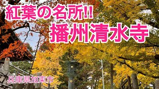 【4K】紅葉の名所 兵庫県加東市 播州清水寺 Walking in Beautiful Japanese Temple with GoPro hero 10