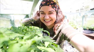 What's growing in the greenhouse? (Almost planting time!) | VLOG