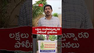 గంజాయి పండిస్తా..పర్మిషన్ ఇవ్వండి ప్లీజ్.! #ganza #cultivation #apcrime #shorts #youtubeshorts