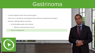 Enteroendocrine Tumors: Gastrinoma – Endocrine Pathology | Lecturio