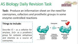 AS Biology Daily Revision Task 40:  Inhibiting Enzymes