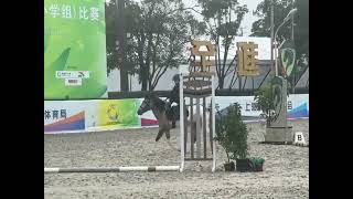 学习马术的小骑手🏆🏅️🐎#推广马术运动 #骑马教学 #小骑手