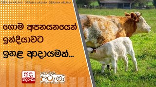 ගොම අපනයනයෙන් ඉන්දියාවට ඉහළ ආදායමක්...