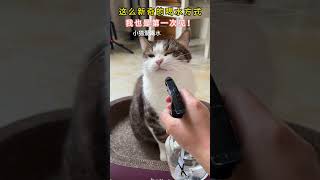 第一次见这么新奇的喝水方式！狸花猫是觉得自己是花吗?#cat #cutecat #funny #funnyvideo #funnyshorts