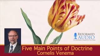 The Five Main Points of Doctrine | Cornelis Venema