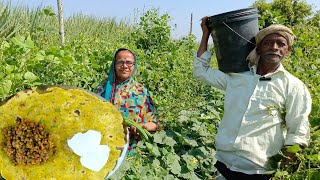 थापुन केलेल्या रानातील ताज्या ताज्या कोवळ्या दोडक्यांची खमंग धपाटी ,दही | Dhapate recipe in marathi