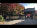 高野山の紅葉　2024年11月11日