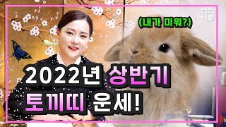 (부산점집)(띠별운세) 2022년 상반기 🐇토끼띠 운세!!  [점점tv]