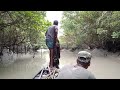 সুন্দরবনের ছোট খালে মাছ ধরা। sundarban fishing nature