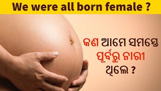 କଣ ଆମେ ସମସ୍ତେ ପୂର୍ବରୁ ନାରୀ ଥିଲେ ? | We were all female ? | Educatio Prime