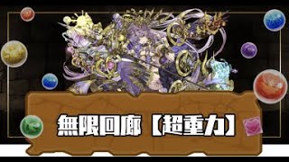 【パズドラ】無限回廊 【超重力】 超重力100分の1 エルフリーデ編成 攻略【実況】