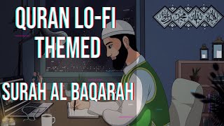 [Lofi theme] Stress Relief🌱 - Relaxing Quran recitation - Muslims Timeline