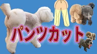 #134【プードル】パンツカット（字幕あり）