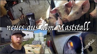 FarmVLOG#26 neues aus dem Maststall