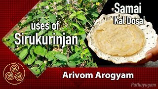 சிறுகுறிஞ்சான் பயன்கள் / Samai Dosa \u0026 Apple Syrup Recipe | Arivom Arogyam | 27/03/2018