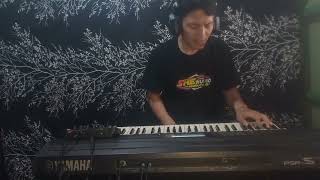 Melodi cinta_Rhoma irama (cover by WAN smony)