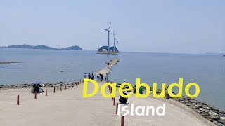 Go travel to Daebudo Island