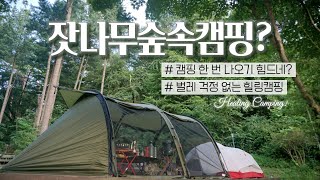 새텐트들고 두달만에 나왔어요 | 벌레걱정없이 숲속캠핑 어떻게? | 미니멀웍스 브이하우스M | 가평 숲속힐링캠프 | Camping Vlog