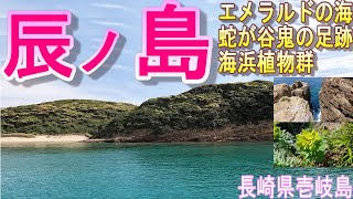 【辰ノ島：秘境】荒々しさと穏やかさの同居する別天地