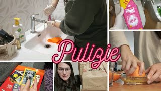 Pulizie di Casa 🧽 || Piccoli acquisti || VLOG