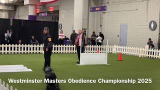 Westminster Kennel Club dog show Masters Obedience Championship 2025