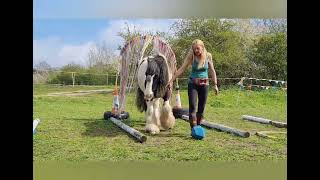 International Horse Agility Club - Walk Only Liberty Trophy Silver - APRIL 2023