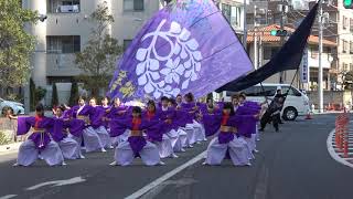 藤華連春日部／ながし会場／第3回越谷YOSAKOIソーラン祭り2019‏