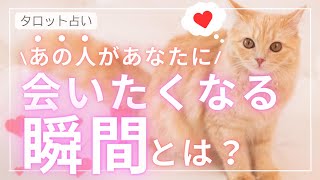 【会いたいなぁ】最近いつあなたさんに会いたくなった？ 会ったら何したい？ 会いたくなる頻度は？ (タロット・オラクル占い)